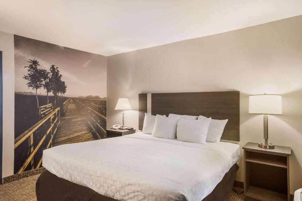 King Room - Accessible/Non-Smoking room - Image 3
