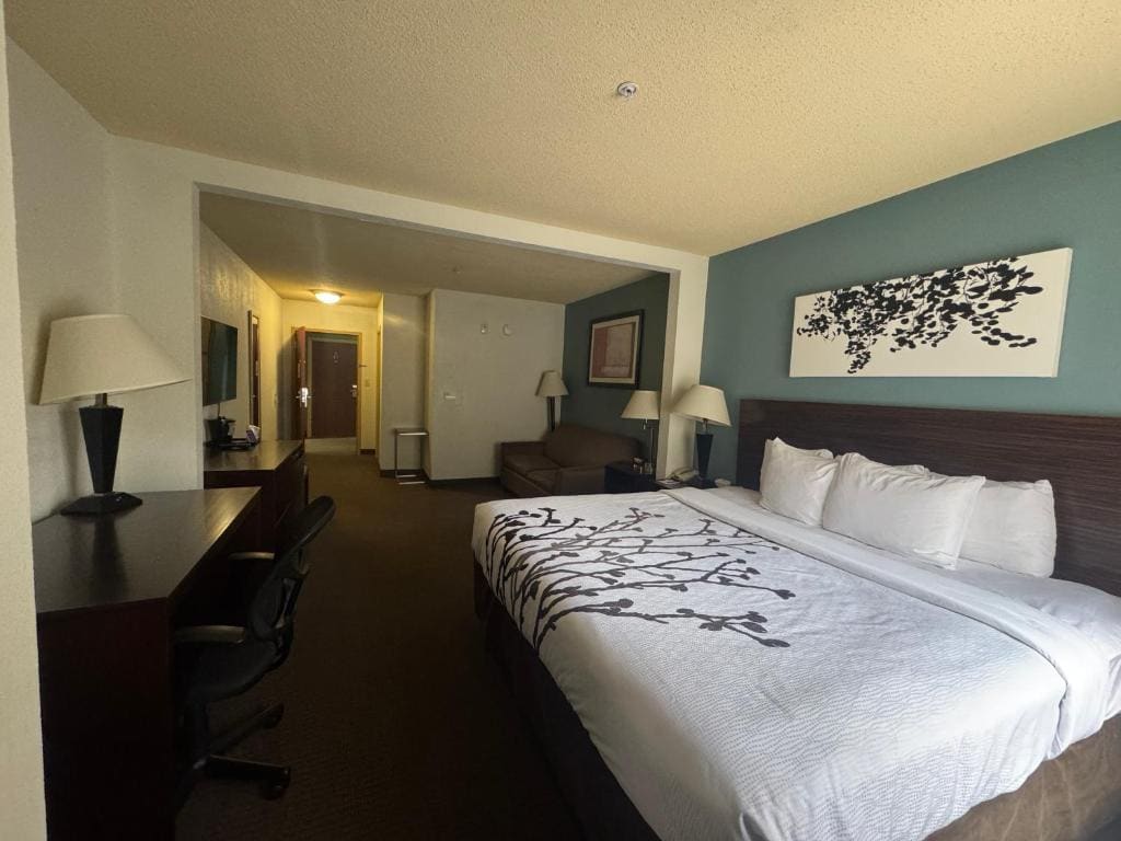 King Suite with Sofa Bed - Non Smoking room - Image 1