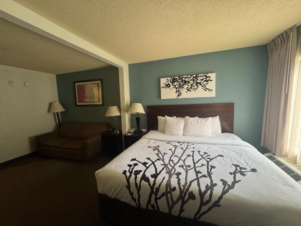 King Suite with Sofa Bed - Non Smoking room - Image 2