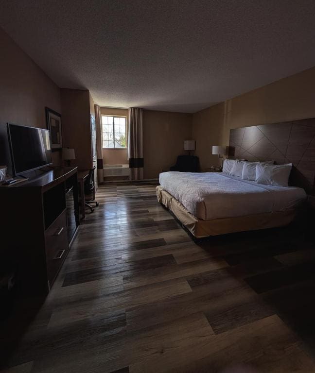 King Room - Disability Access/Non Smoking room - Image 3