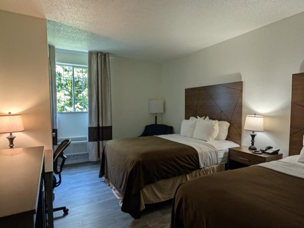 Quadruple Room with Two Queen Beds - Non Smoking room - Image 2
