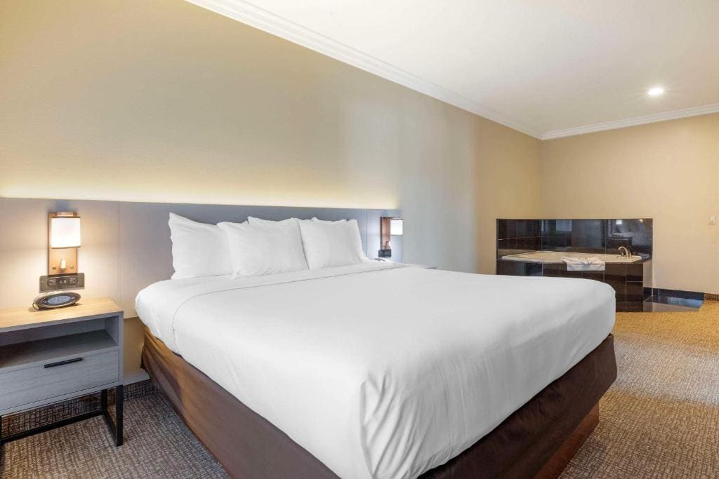 Hot Tub Suite, 1 King Bed, Sofa Bed, Non Smoking room - Image 3