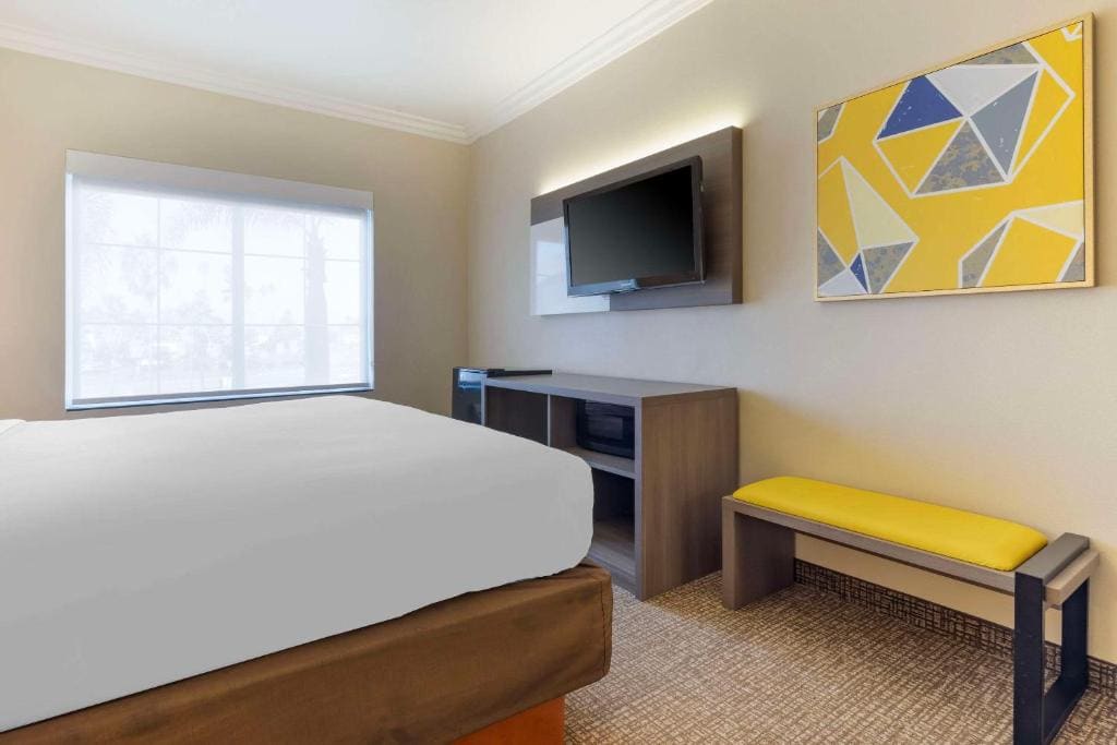 Accessible Junior Suite, 1 King Bed, Sofa Bed, Tub, Non Smoking room - Image 2