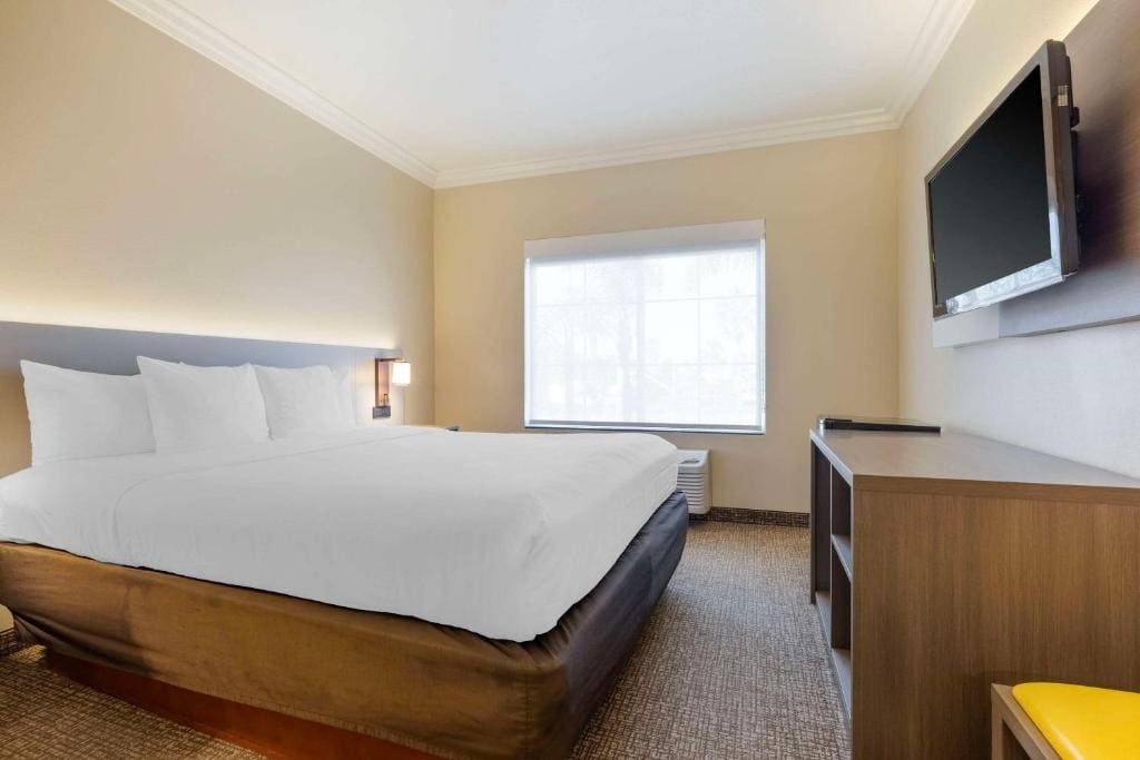 Accessible Junior Suite, 1 King Bed, Sofa Bed, Tub, Non Smoking room - Image 1