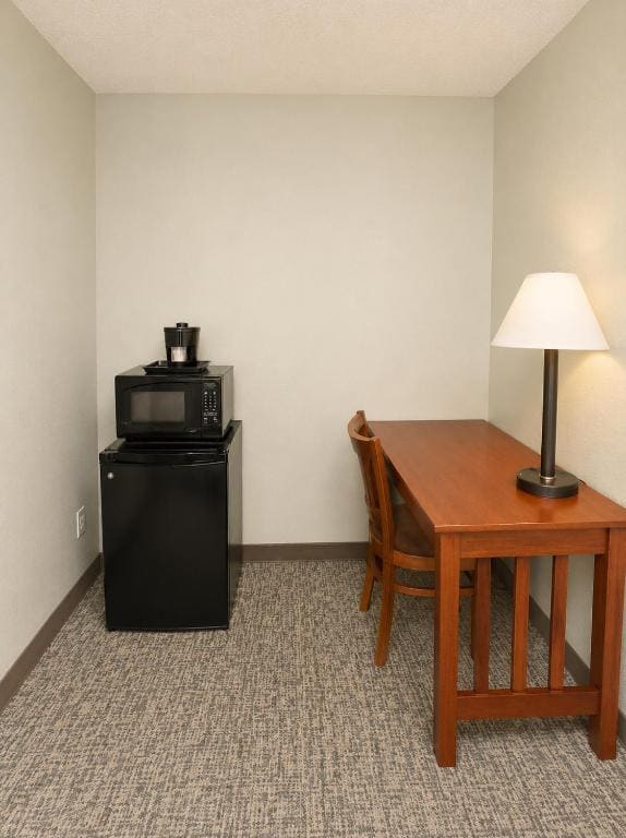 Studio Suite with Three Queen Beds - Non-Smoking room - Image 2