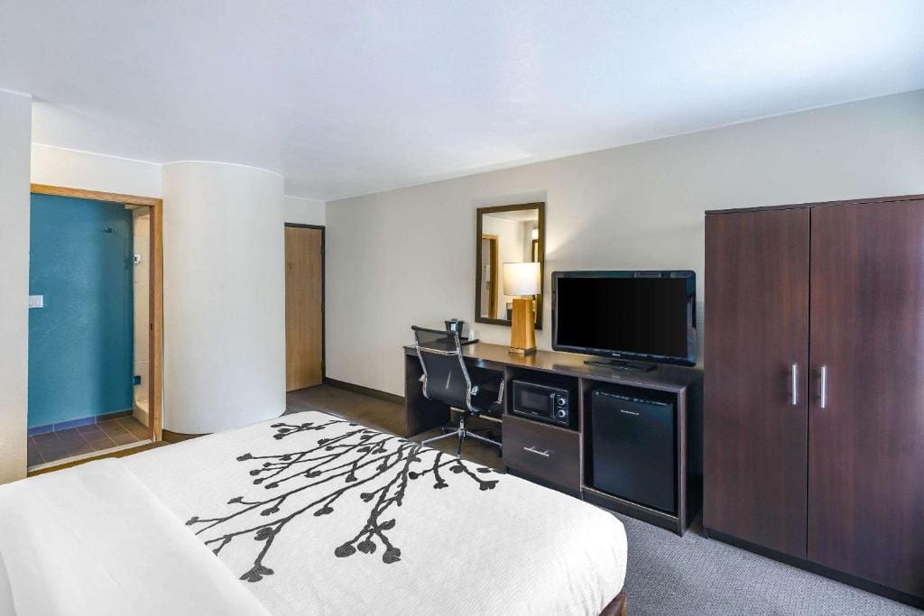 King Room - Non-Smoking room - Image 1