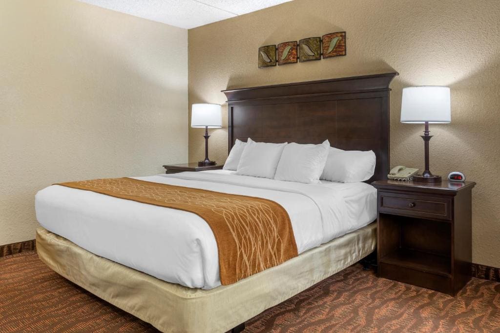 King Room with Hearing Accessible - Accessible/Non-Smoking room - Image 1