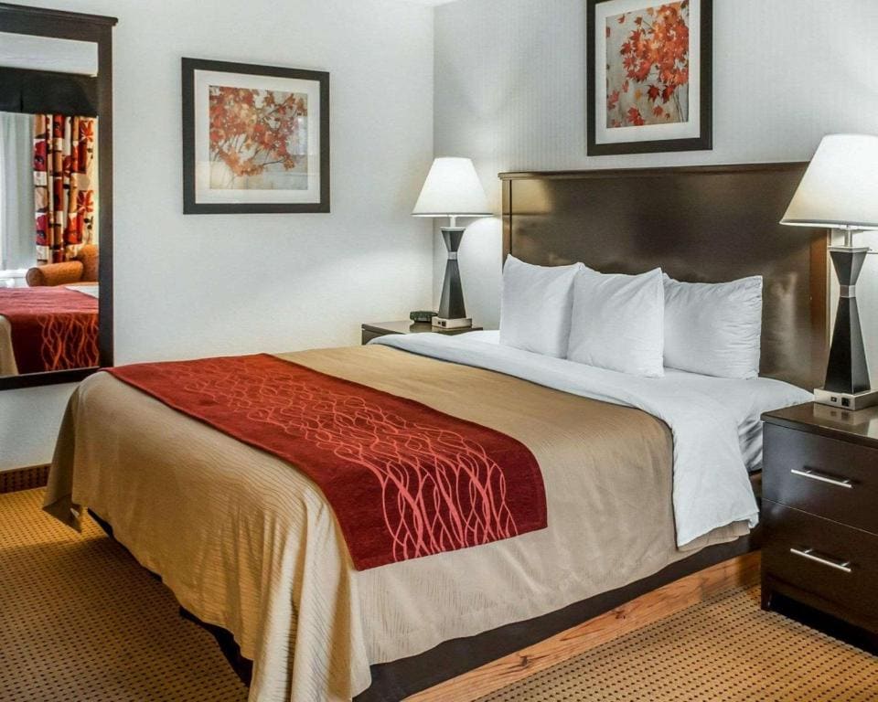 King Room - Non-Smoking room - Image 3
