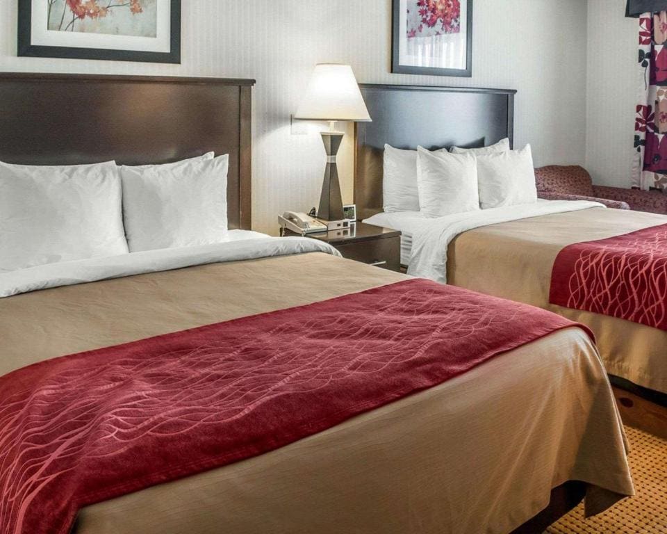 Queen Room with Two Queen Beds - Non-Smoking room - Image 2