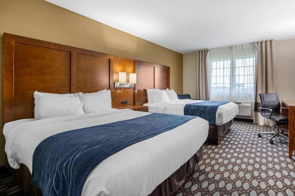 Queen Room with Two Queen Beds - Non-Smoking room - Image 1