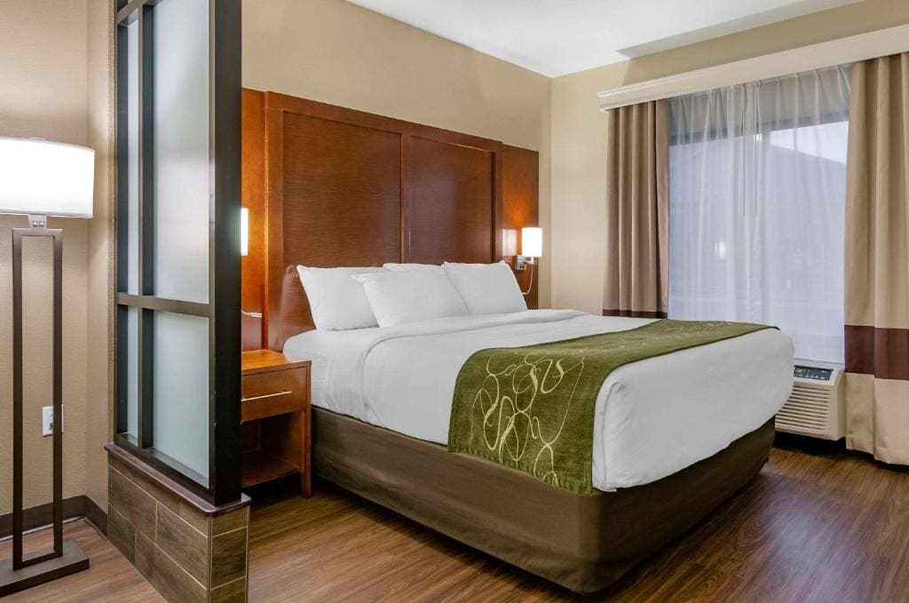 King Suite - Non-Smoking/Pet Friendly room - Image 1