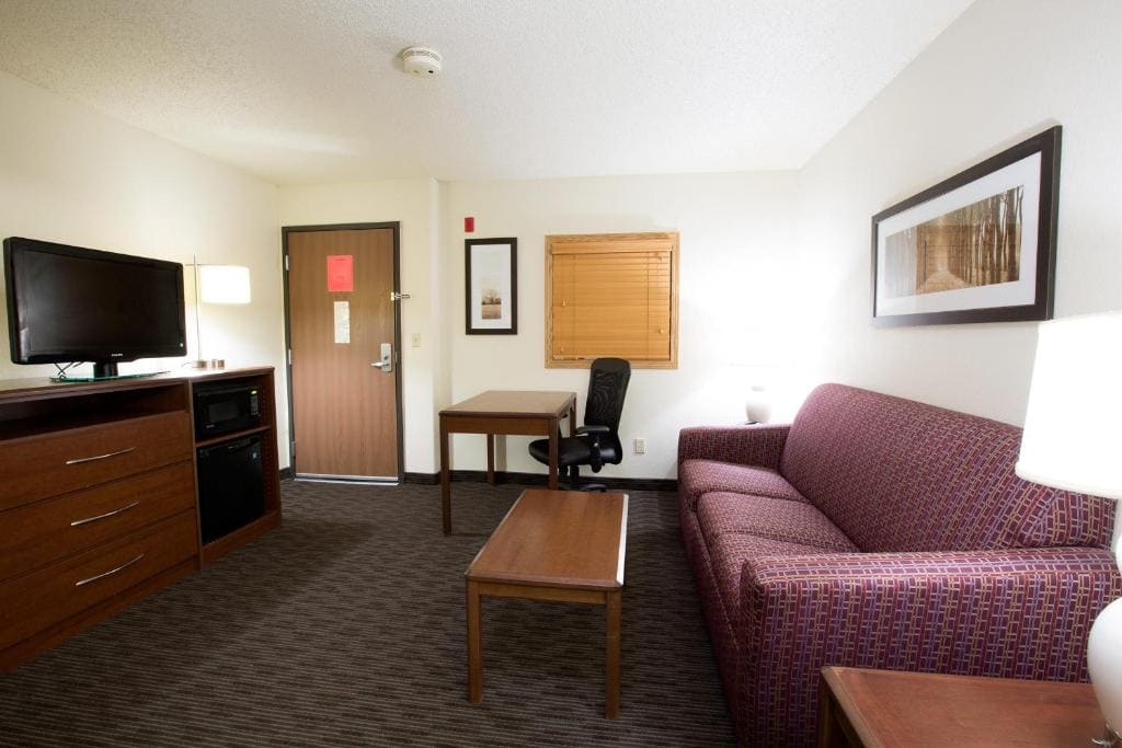 Deluxe One-Bedroom King Room - Non-Smoking room - Image 1