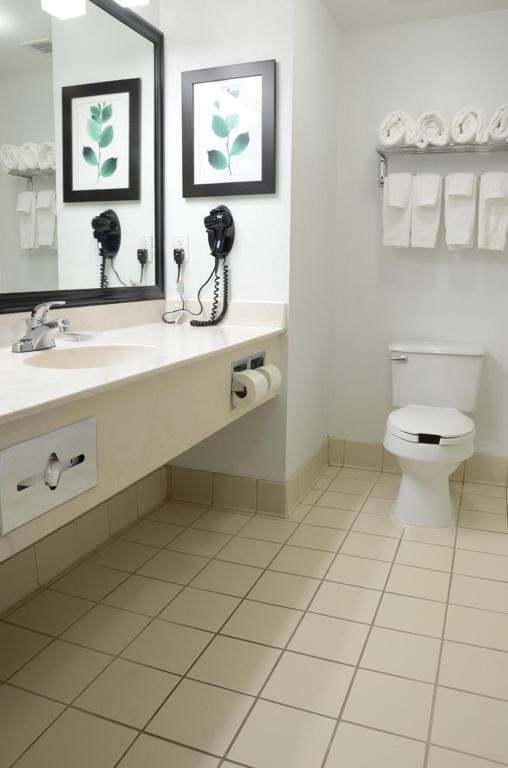 King Suite - Disability Access/Non Smoking room - Image 2