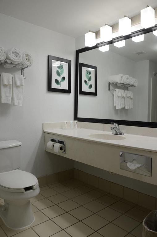 King Suite - Disability Access/Non Smoking room - Image 3