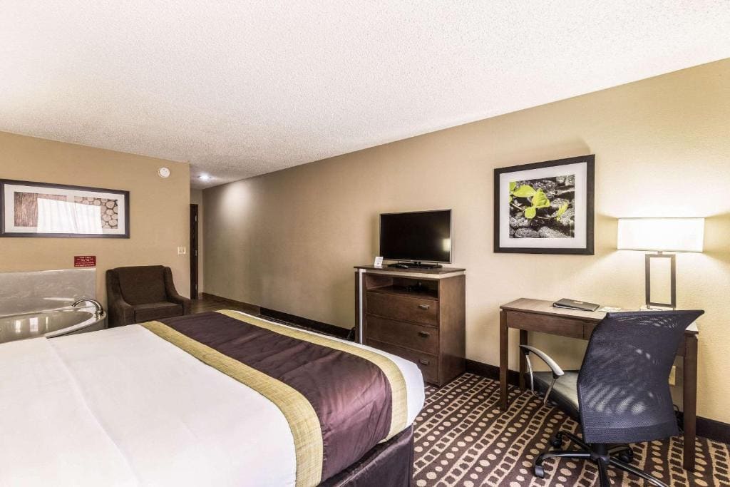 King Room - Accessible/Non-Smoking room - Image 3