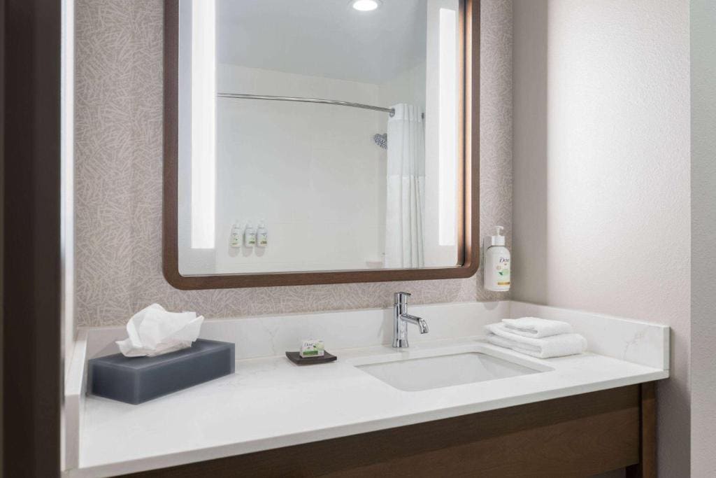 1 King Bed, Standard Room, Shower room - Image 2
