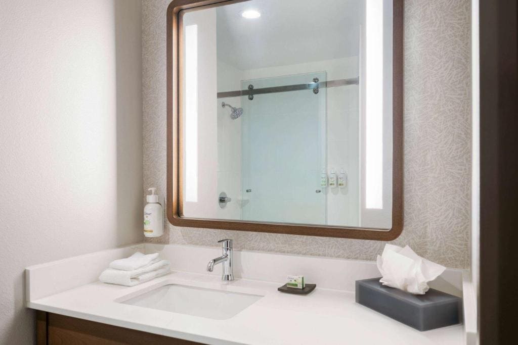1 King Bed, Extended Room, Shower room - Image 2