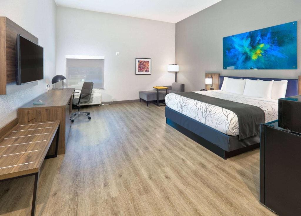 Deluxe King Room - Non-Smoking room - Image 1