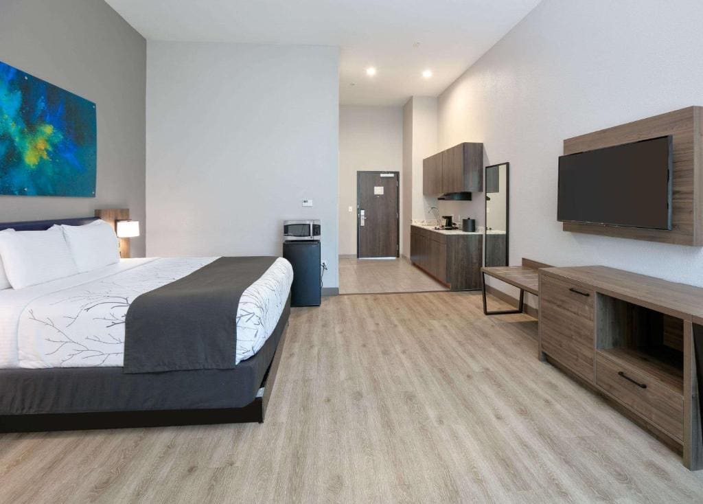 Deluxe King Room - Non-Smoking room - Image 3
