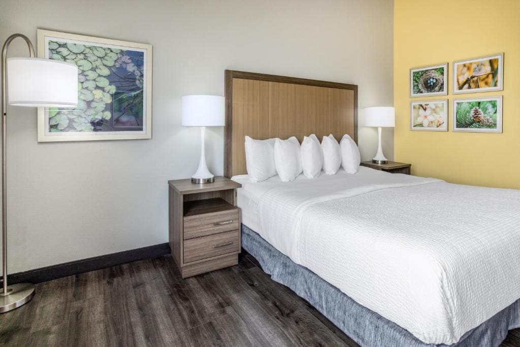 King Room with Mobility/Hearing Access and Bathtub with Garb Bars - Non- Smoking room - Image 2