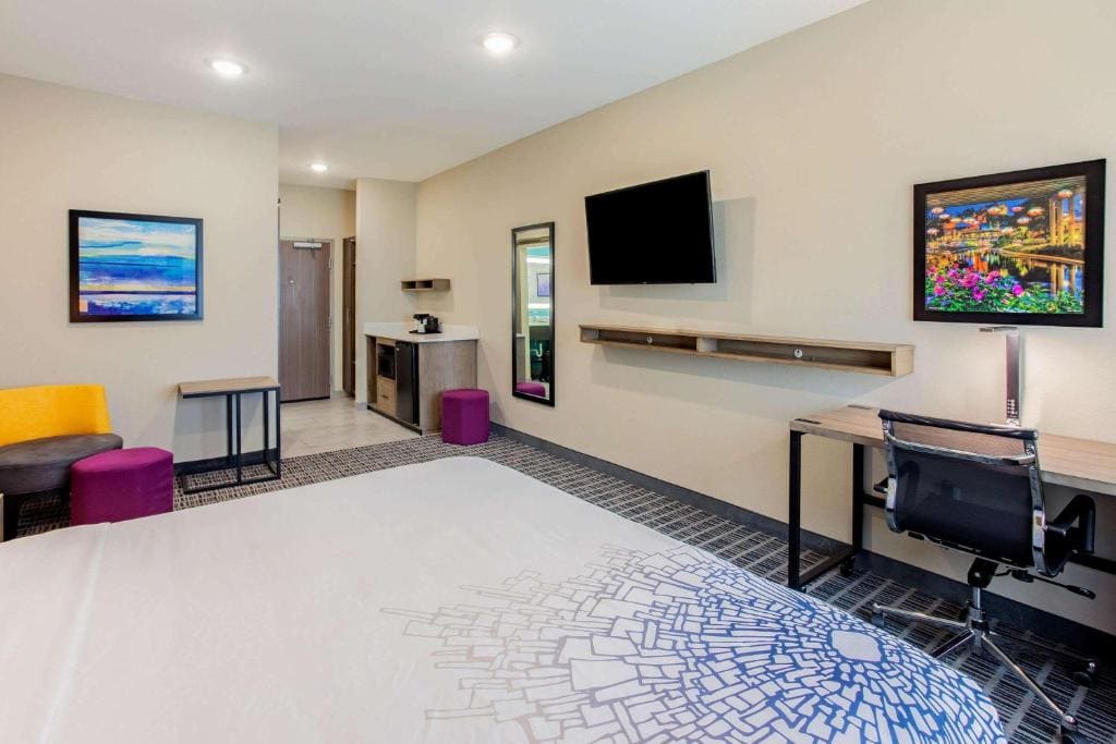 1 King Bed, Deluxe Mobility/Hearing Accessible Room, Roll-In Shower, Non-Smoking room - Image 1
