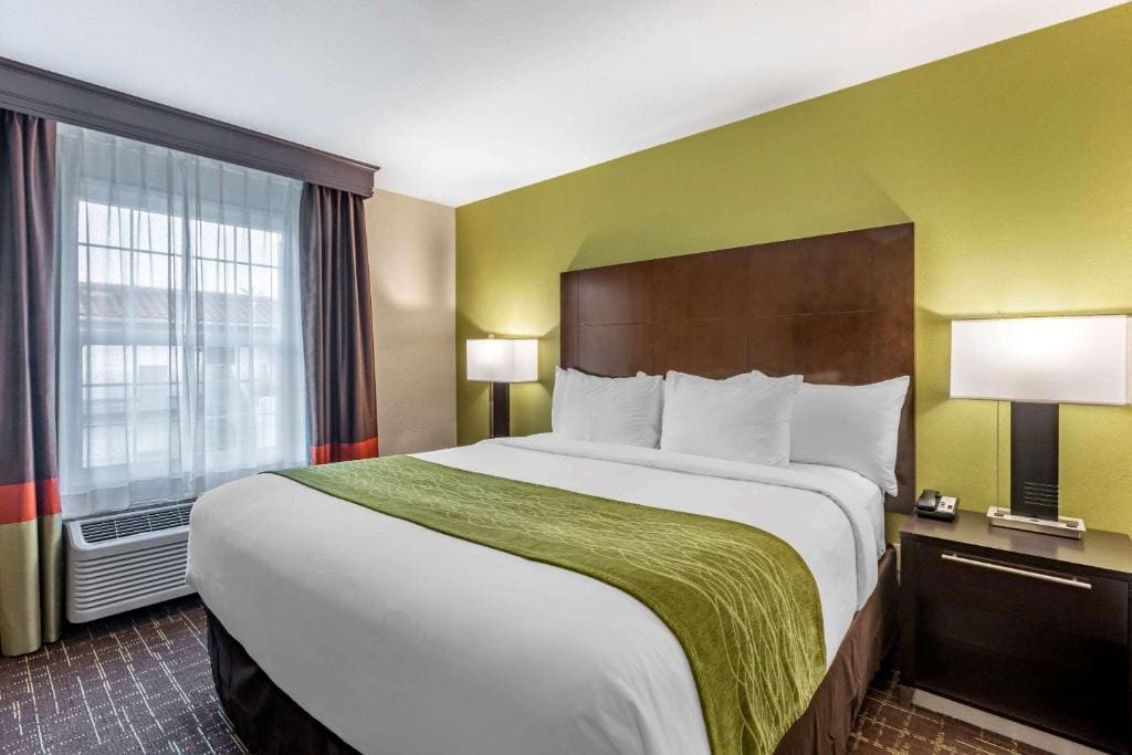 Suite, 1 King Bed with Sofa Bed, Non Smoking room - Image 1