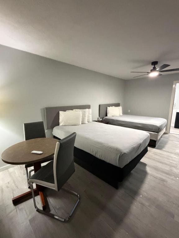 Standard Double Room with Two Double Beds room - Image 1
