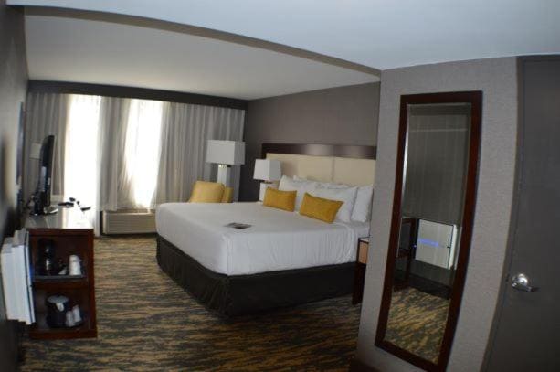 Wellness Room - Non-Smoking room - Image 3