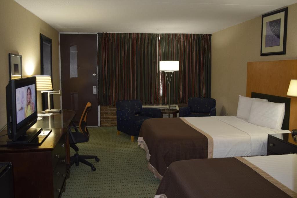 King Room - Pet-Friendly room - Image 3