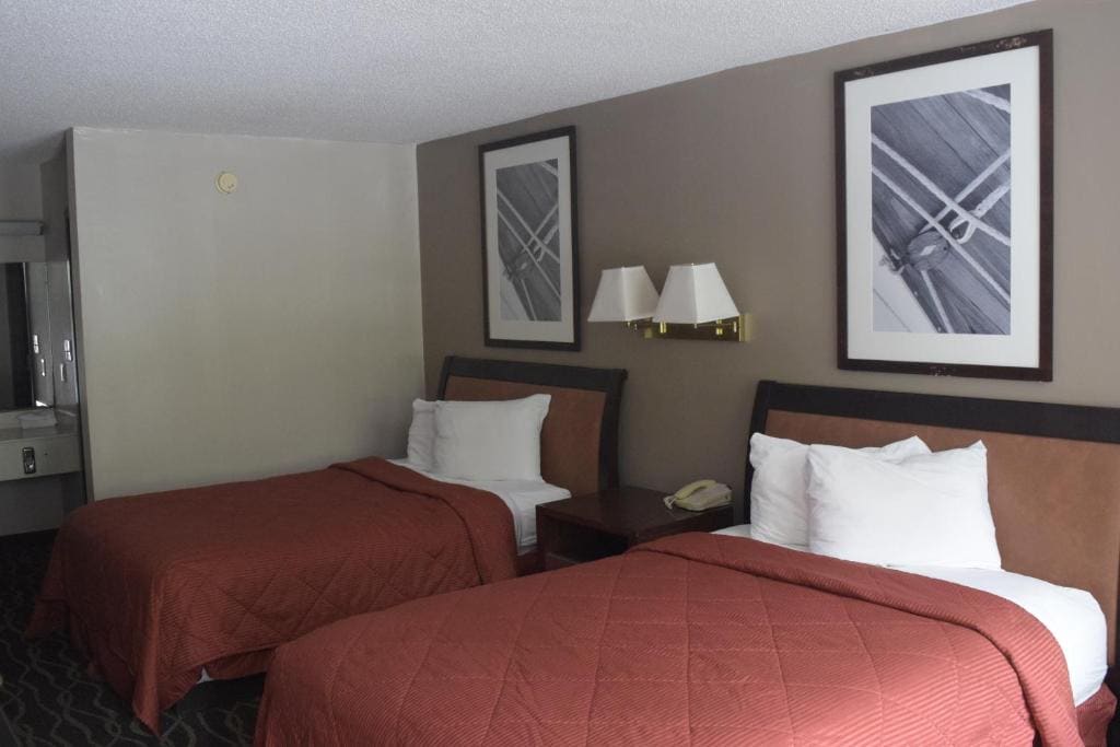 Double Room with Two Double Beds - Pet-Friendly room - Image 2