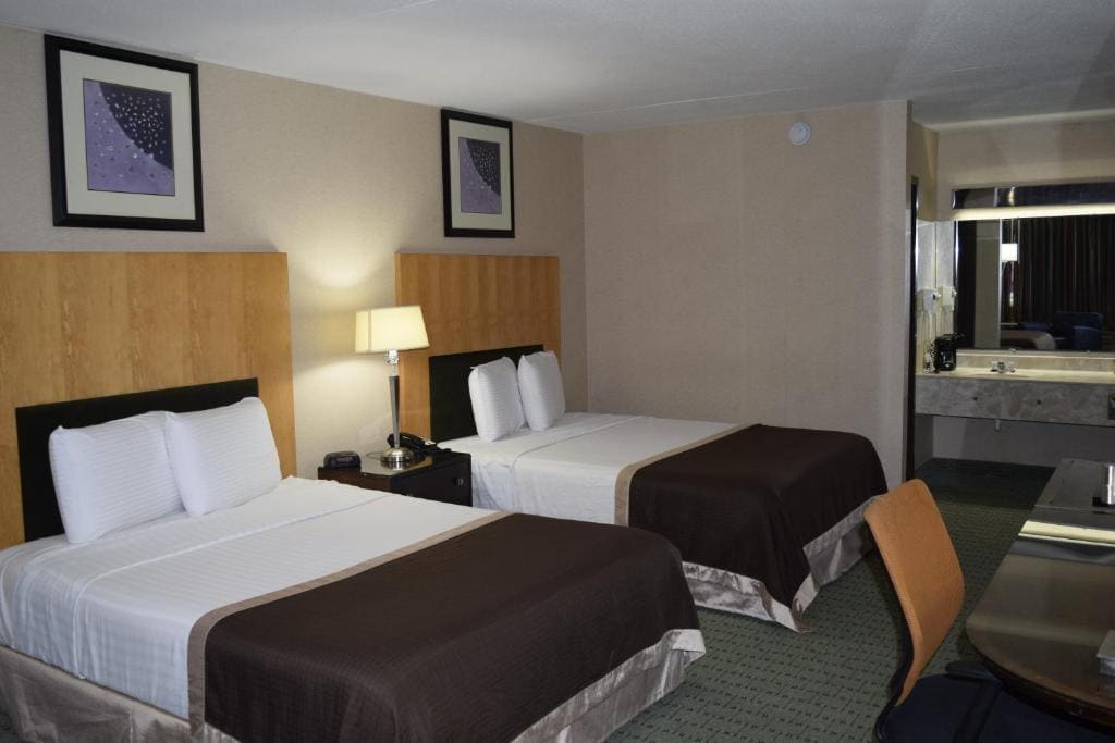 King Room - Pet-Friendly room - Image 2