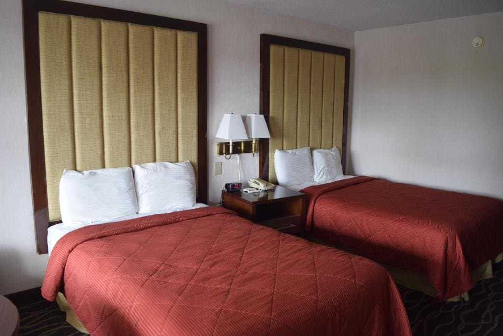 Double Room with Two Double Beds - Pet-Friendly room - Image 1