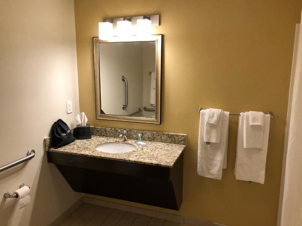 Efficiency King Suite - Accessible/Non-Smoking room - Image 2