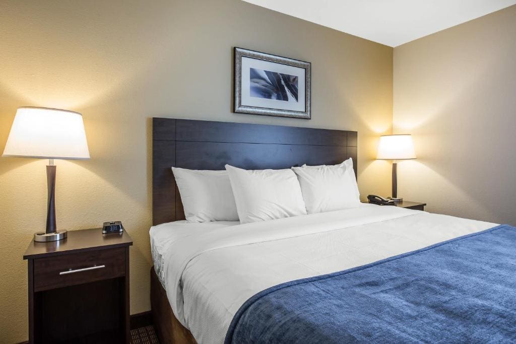 King Suite with Sofa Bed room - Image 1