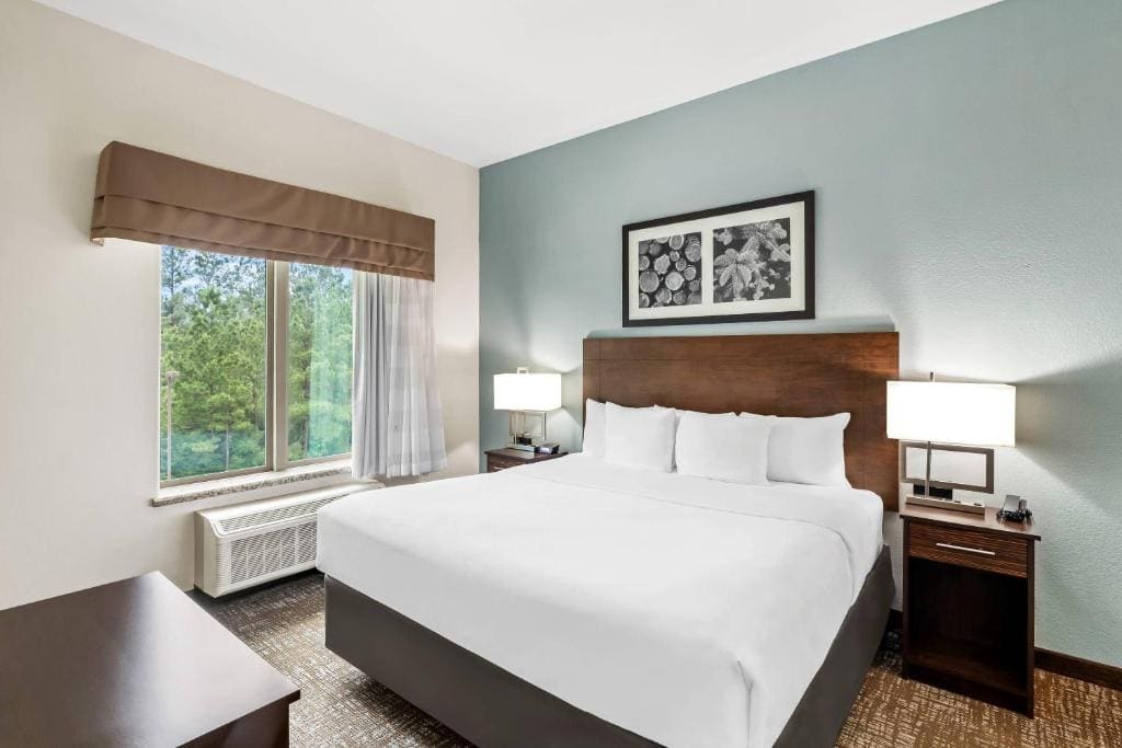 Suite with 1 King Bed and Kitchen room - Image 1