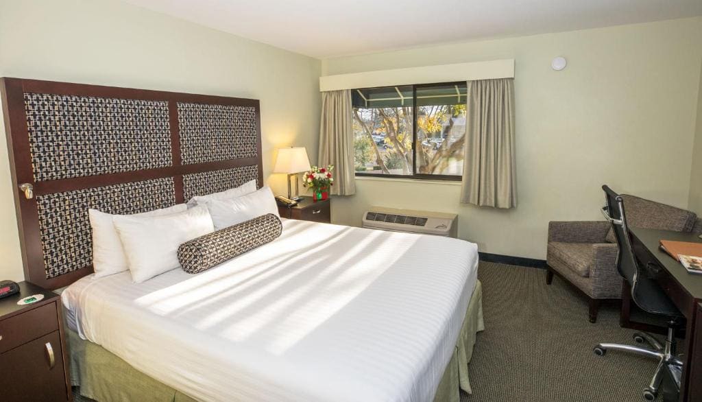 Queen Room - Disability Access room - Image 1