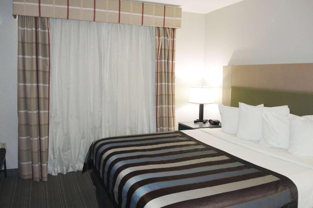 One-Bedroom King Suite, Non-Smoking room - Image 2