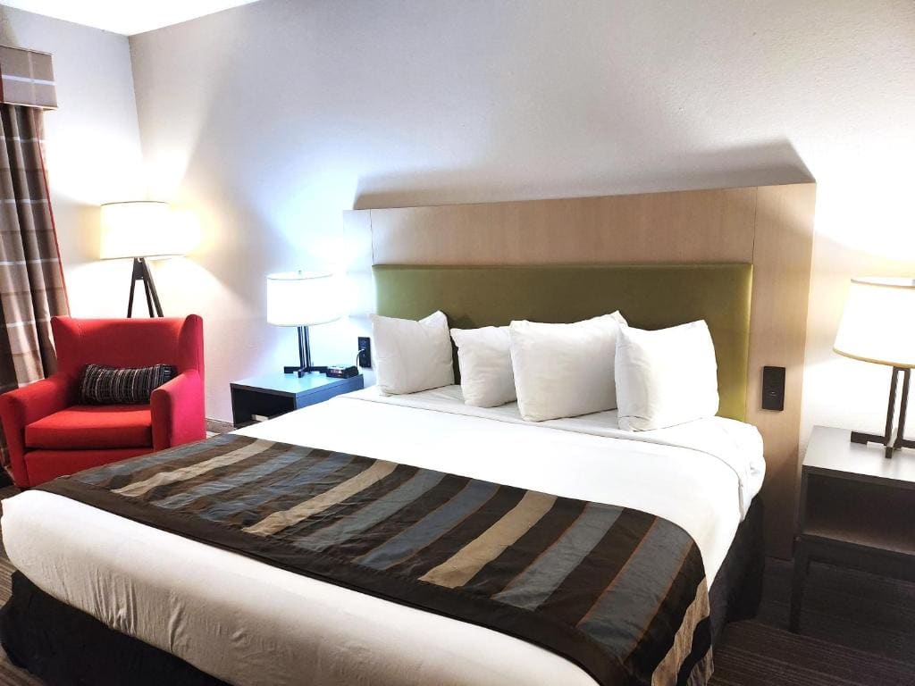 King Room with Mobility Access and Bathtub with Grab Bars, Non-Smoking room - Image 1
