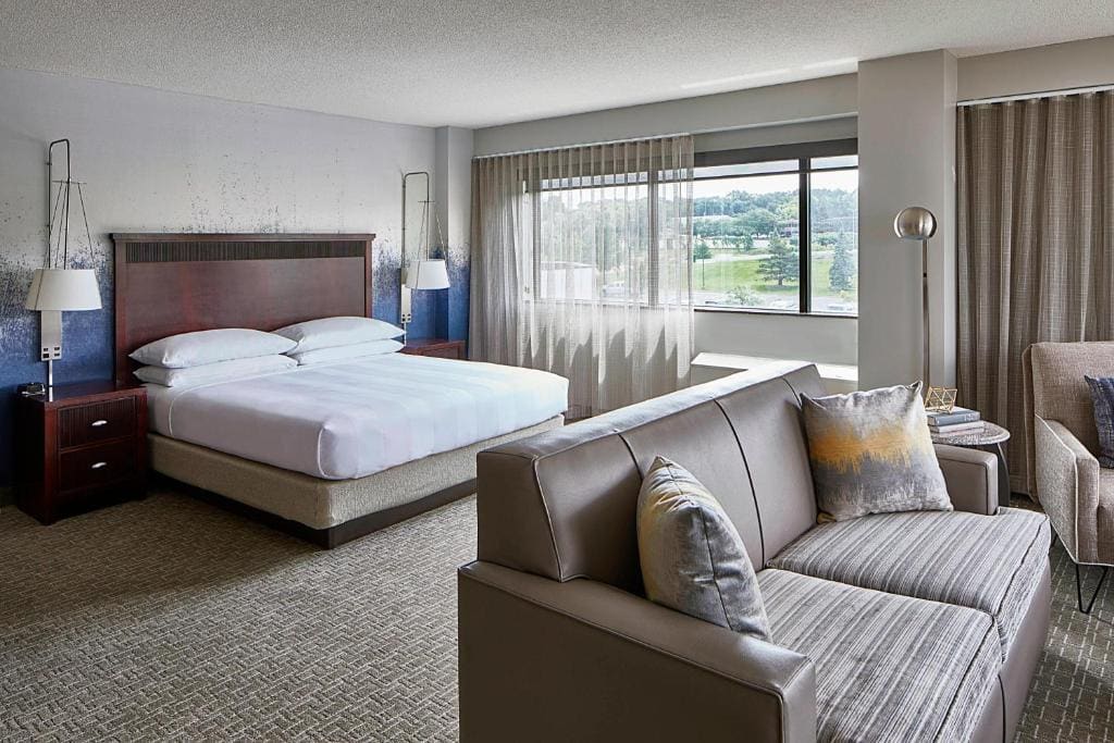 Larger Suite, 1 King, Sofa bed room - Image 1
