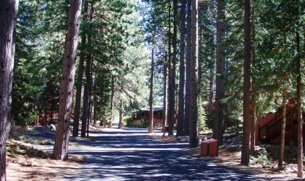 Two-Bedroom Chalet with Forest View room - Image 2