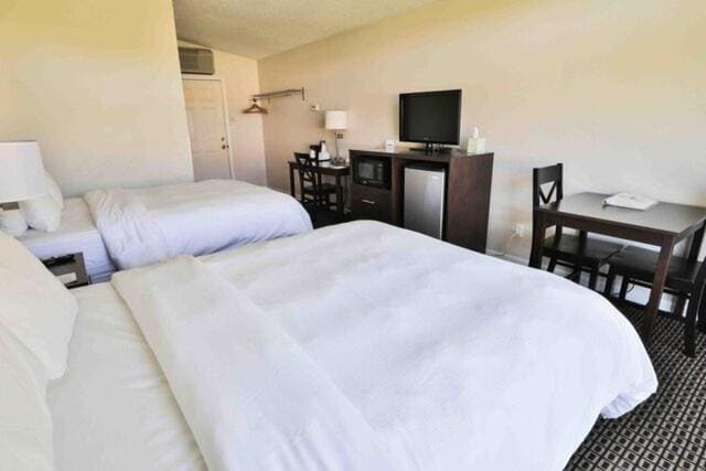 Deluxe Suite room - Image 1