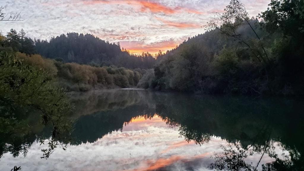 Secoya Queen room - Image 3