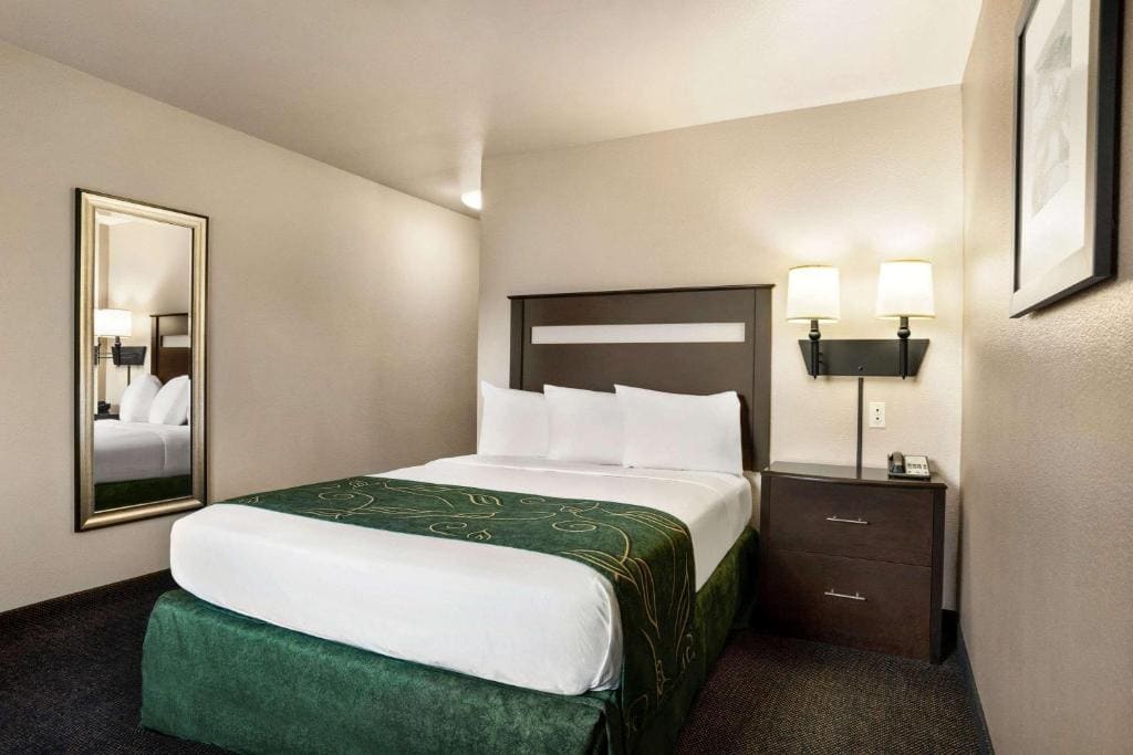 King Room - Non-Smoking - Non Pet Friendly room - Image 3