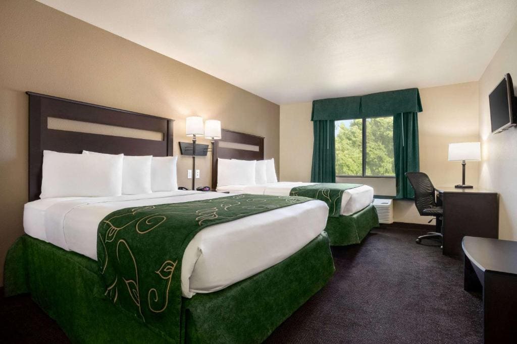 Queen Room with Two Queen Beds - Non-Smoking room - Image 3