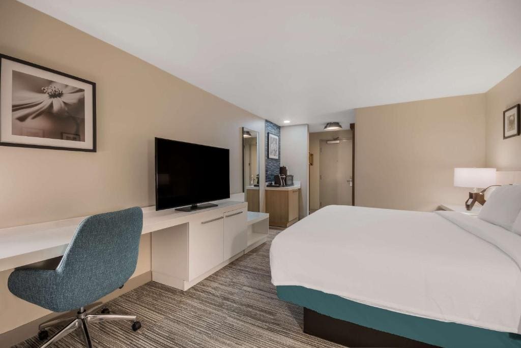 King Room room - Image 1