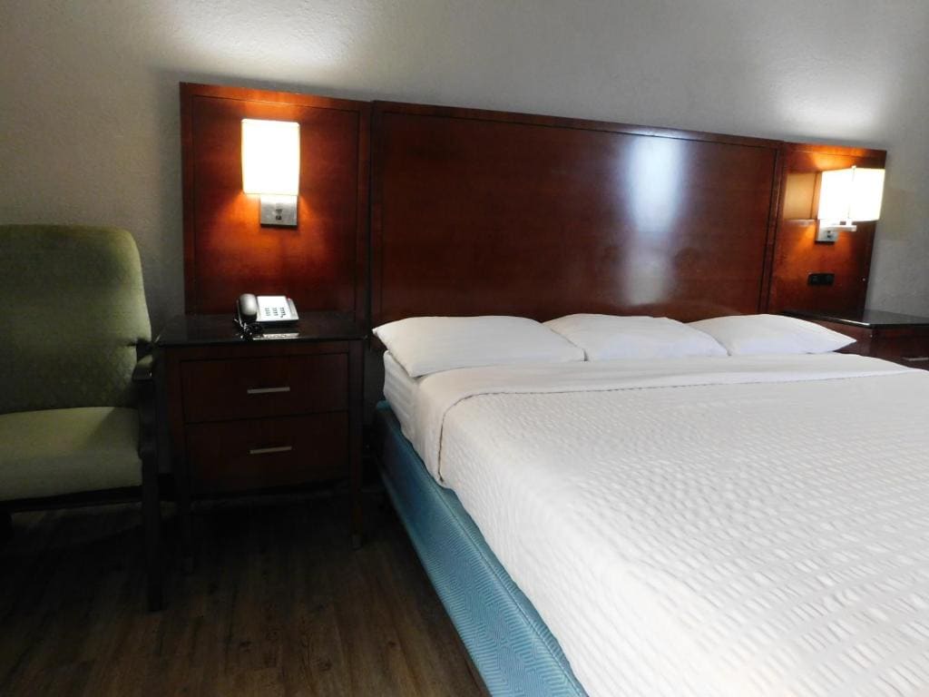 Single Room room - Image 2