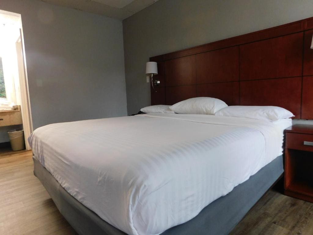 Single Room room - Image 3