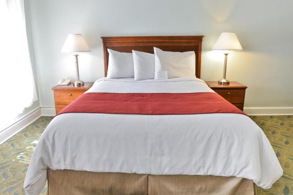 Queen Room - Hotel room - Image 2