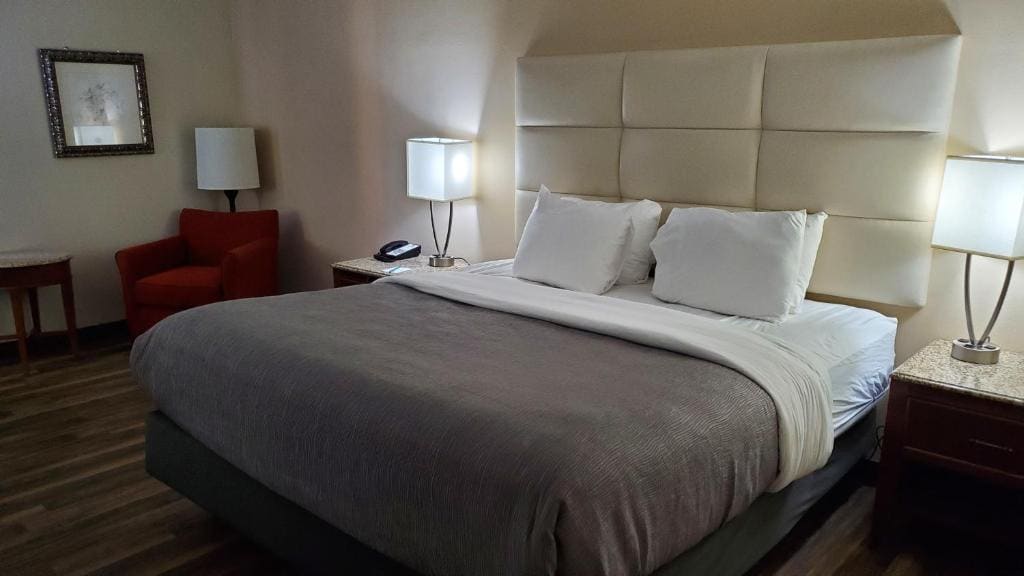 King Room - Non-Smoking/Pet Friendly room - Image 1