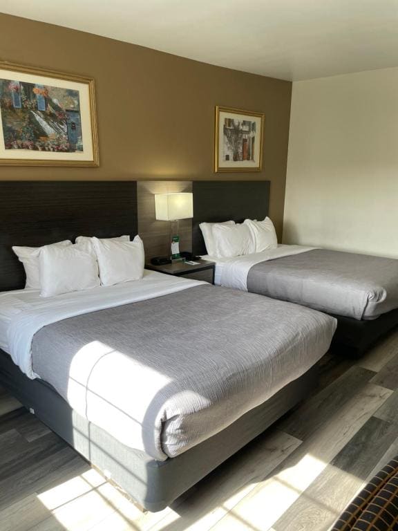 Queen Room with Two Queen Beds - Disability Access/Non-Smoking room - Image 1